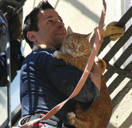 ESU-Tony-Borowiec-rescues-cat
