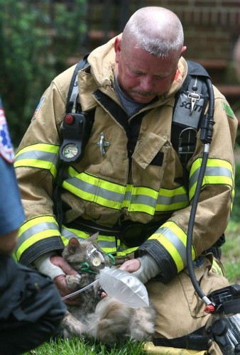 Firefighter Barry Finley holds an oxygen mask over Buttercup