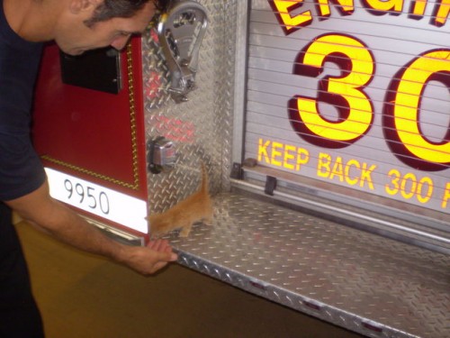 Firefighter reaches for Dip Stick