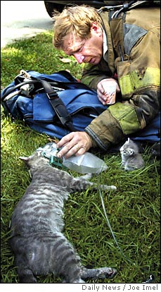 Capt. Levy Davis uses oxygen to revive a cat as one of its kittens watches