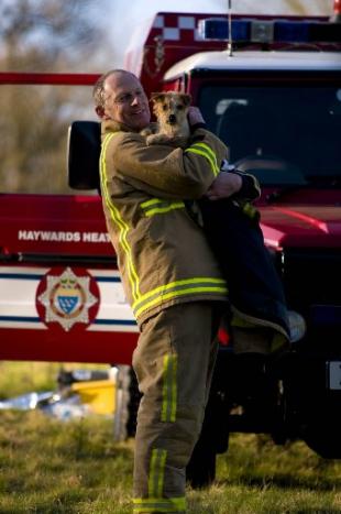 Haywards Heath firefighter retrieves pup