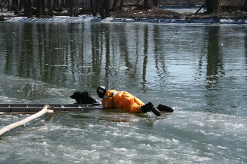 Dog is pulled out of pond onto ladder