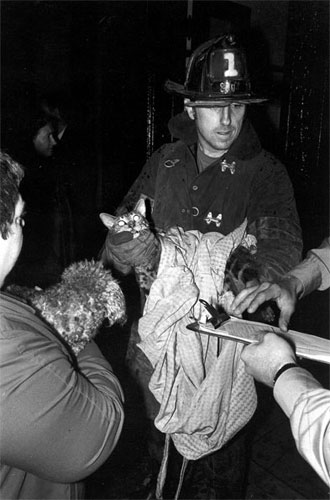 Gelatin silver print of fireman with rescued cat - 1975