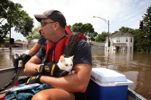 Jason Lopez holds a cat rescued from the attic of a flooded home