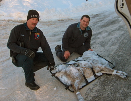Fire Capt. Lewis Kempf (left) and Lt. Marc Volger with the young deer they rescued 