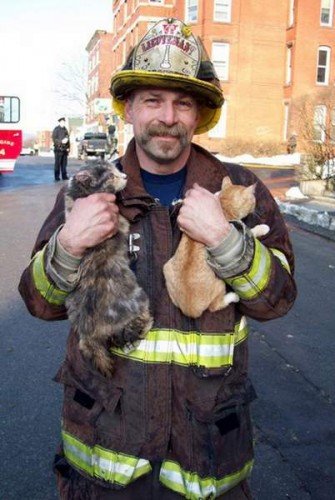 Two-fisted kitty rescue
