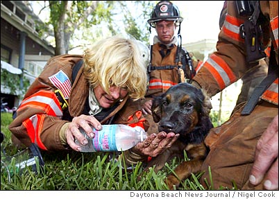 rescue8