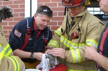 Crew Saves Rabbit