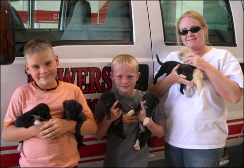 Abandoned puppies at Powers Fire & Rescue fire station